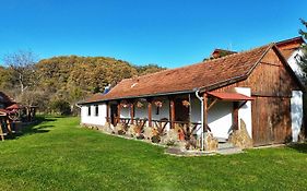Casa de Peste Apă