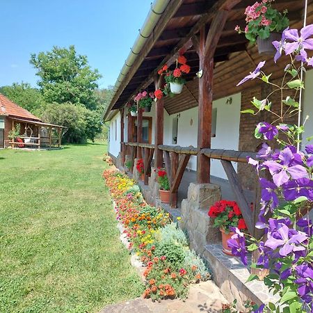 Casa de Peste Apă Pesteana Exterior foto