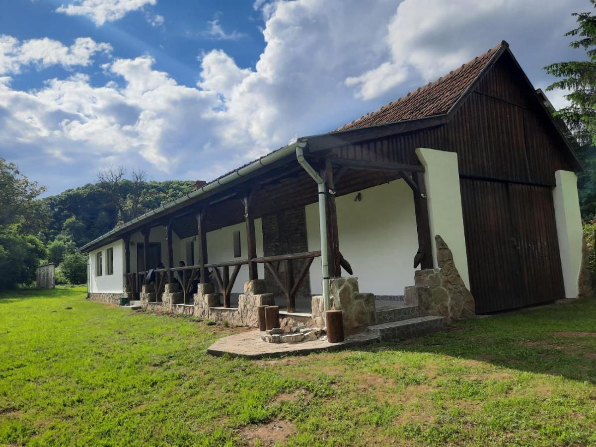Casa de Peste Apă Pesteana Exterior foto