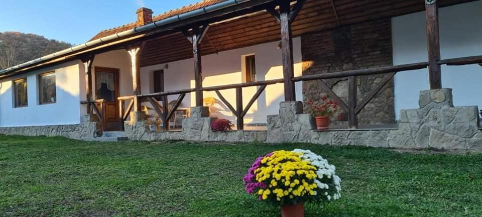 Casa de Peste Apă Pesteana Exterior foto
